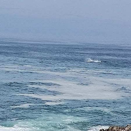 On The Rocks Guesthouse Gansbaai Exterior foto
